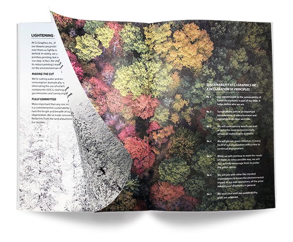 mockup